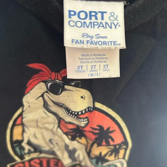 Sistersaurus Dino Graphic Tee | Girls Size 2T | Sibling Tee | Black - Picture 2 of 2